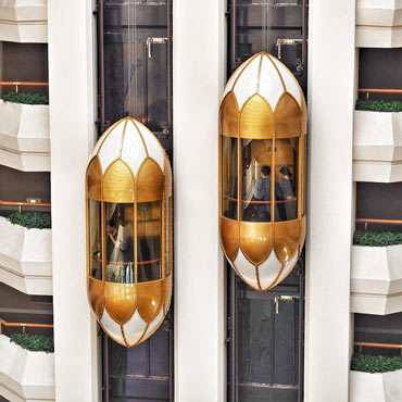 Advisory support for global elevator manufacturer